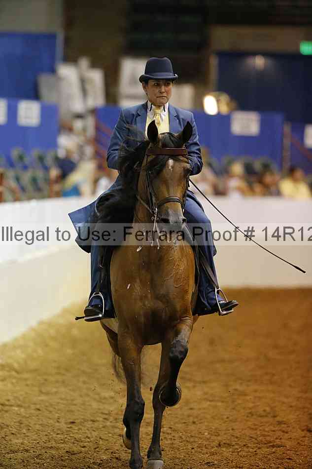 Proof Number 14r12_2633