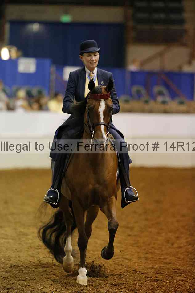 Proof Number 14r12_2637