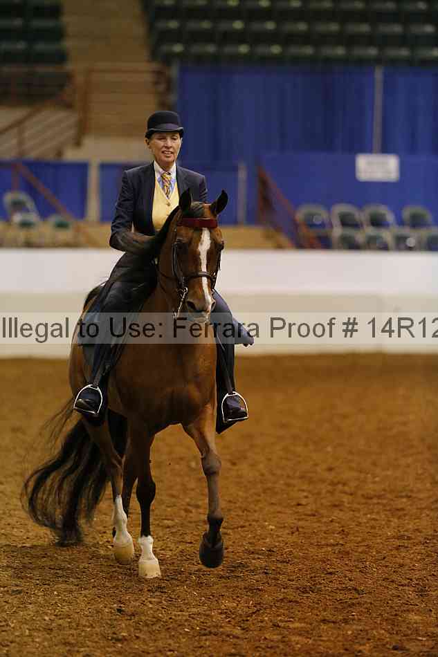 Proof Number 14r12_2649