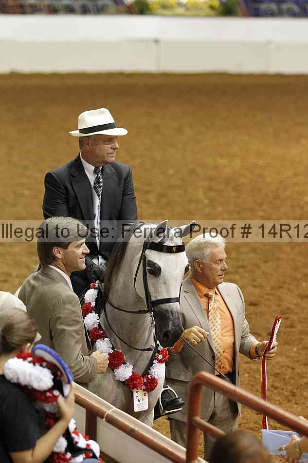 Proof Number 14r12_2667