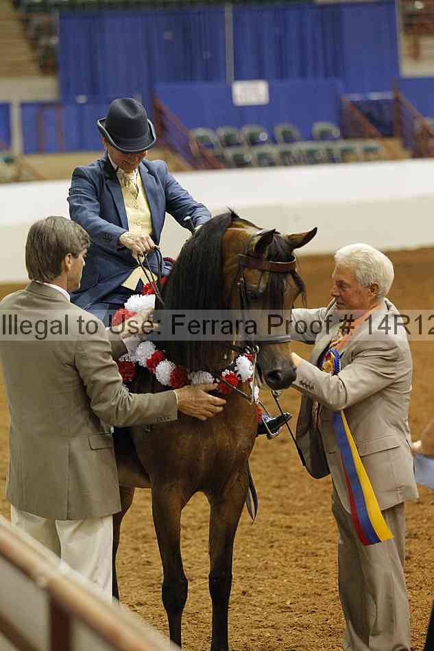 Proof Number 14r12_2672