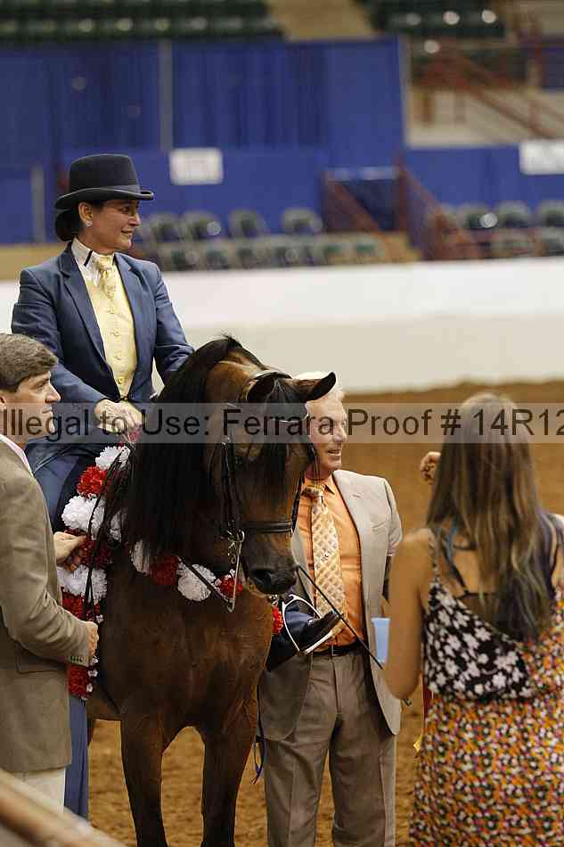 Proof Number 14r12_2675