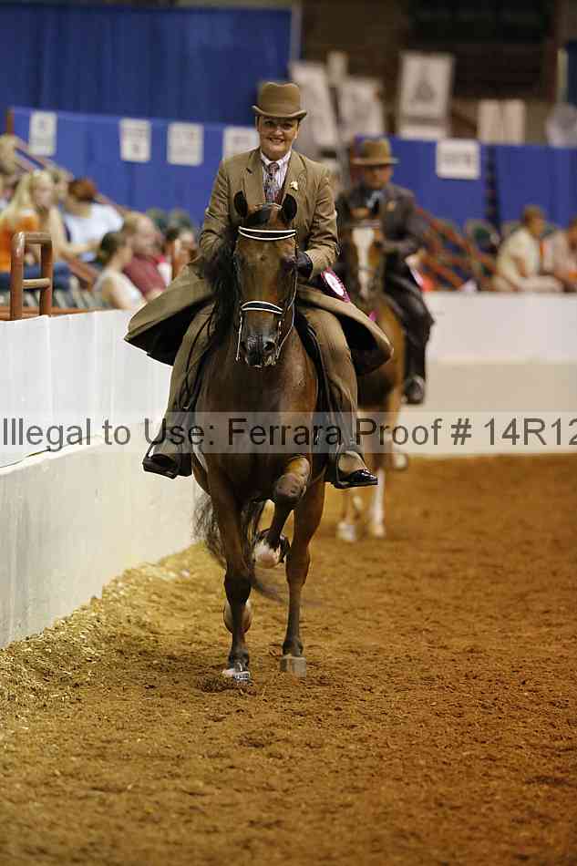 Proof Number 14r12_2691