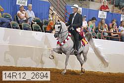 14r12_2694 thumbnail