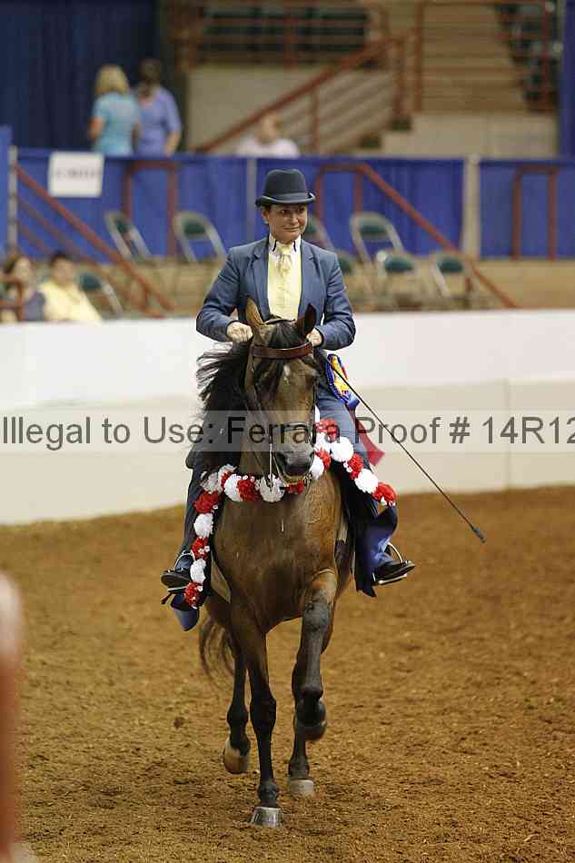 Proof Number 14r12_2697