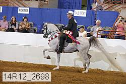 14r12_2698 thumbnail