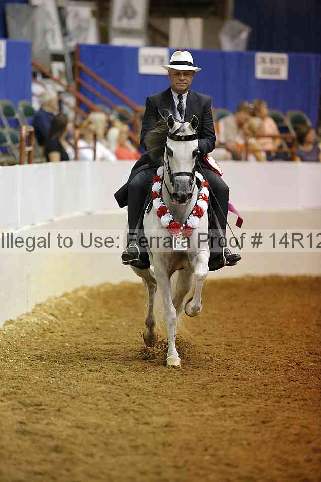 Proof Number 14r12_2699