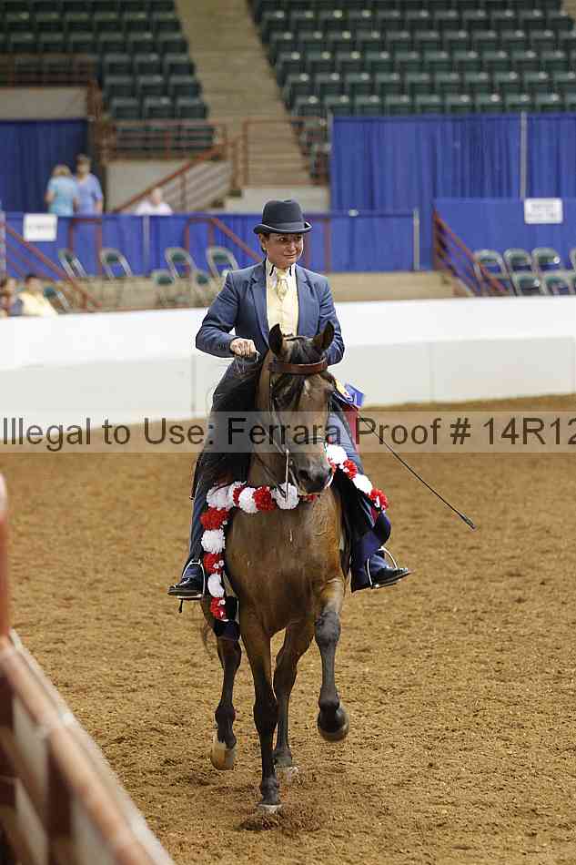Proof Number 14r12_2700