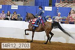 14r12_2703 thumbnail