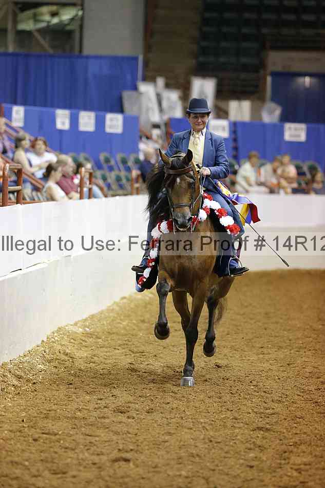 Proof Number 14r12_2705