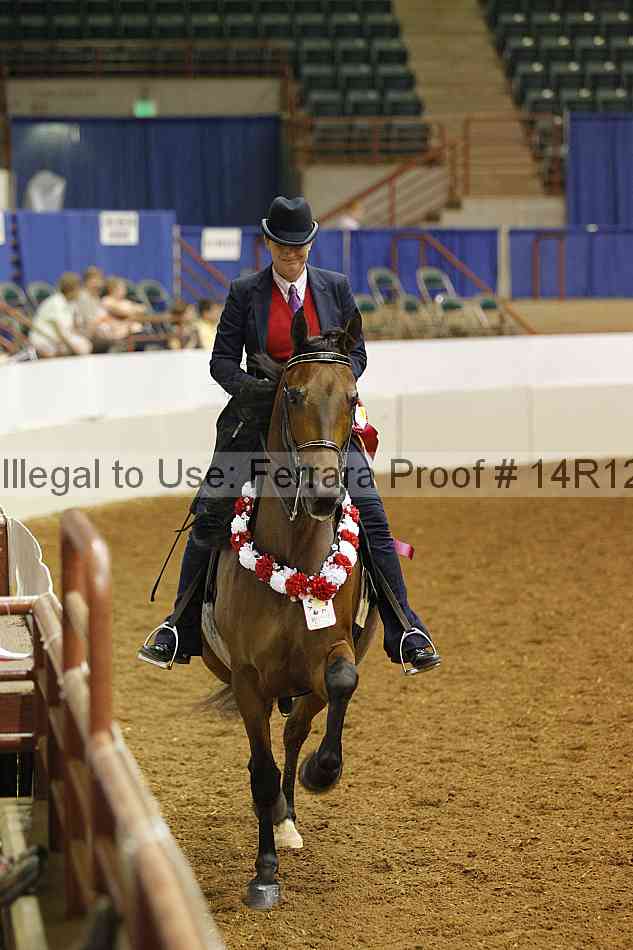 Proof Number 14r12_2727