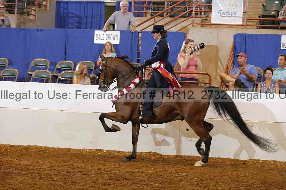 Proof Number 14r12_2732