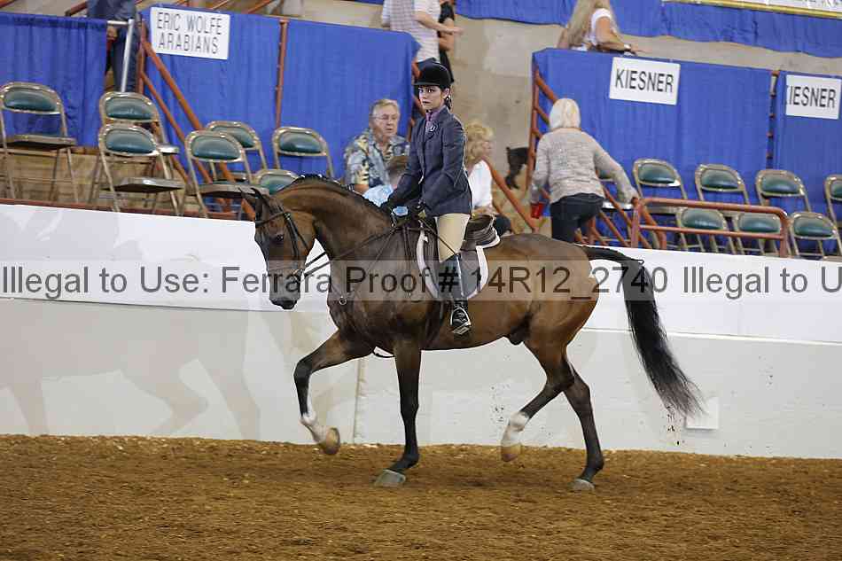 Proof Number 14r12_2740