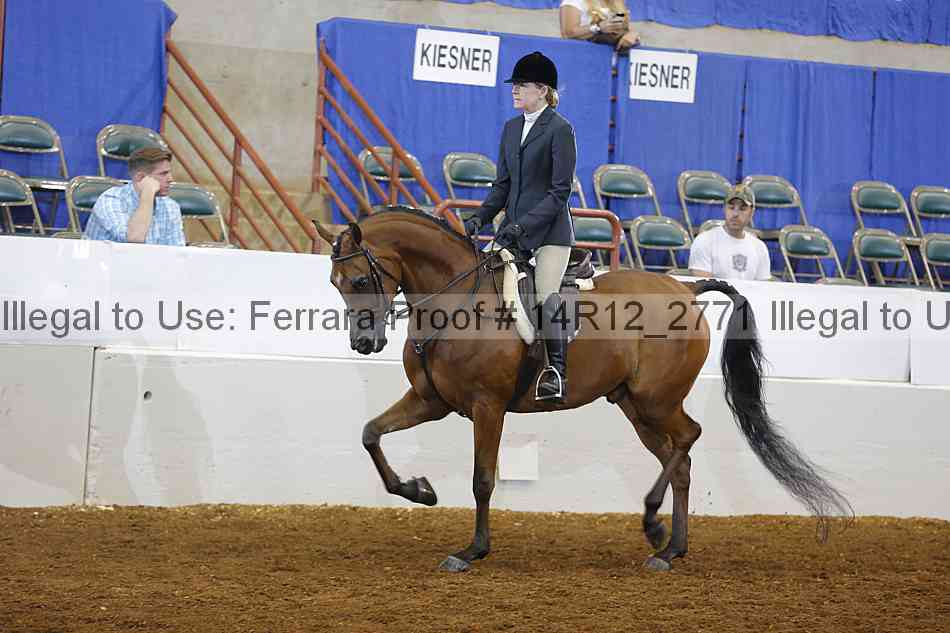Proof Number 14r12_2771