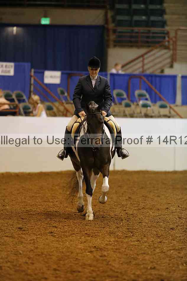 Proof Number 14r12_2777