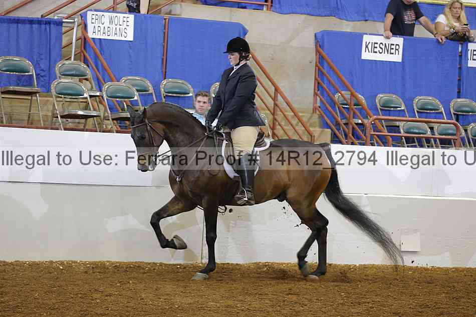 Proof Number 14r12_2794