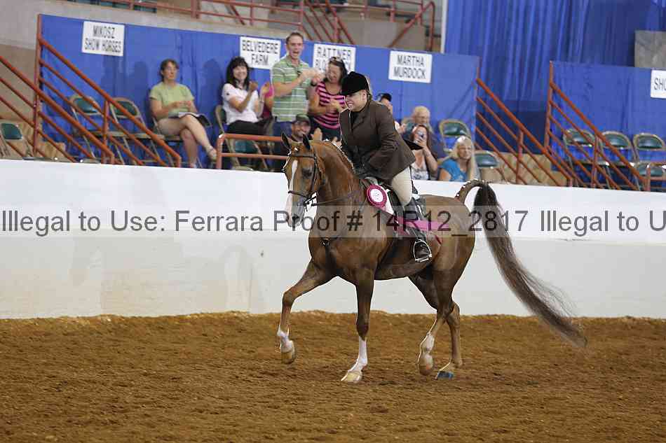Proof Number 14r12_2817