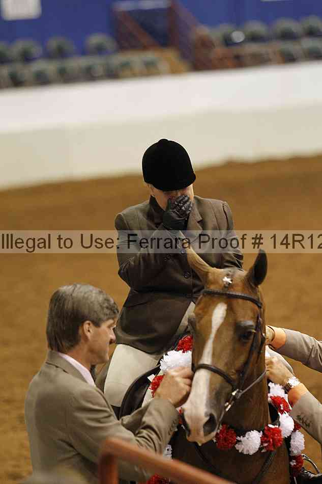 Proof Number 14r12_2819