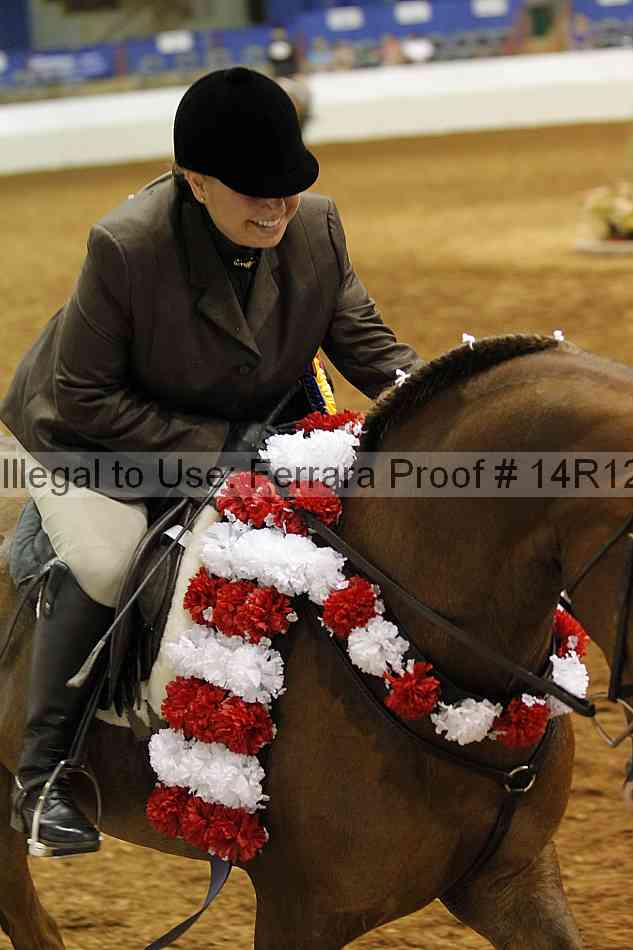 Proof Number 14r12_2827