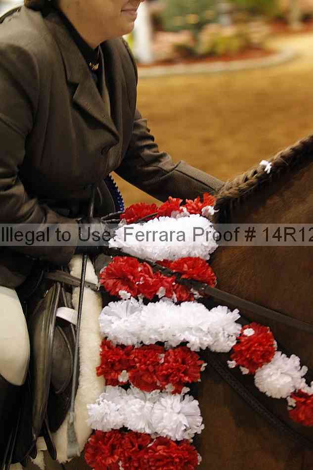 Proof Number 14r12_2829