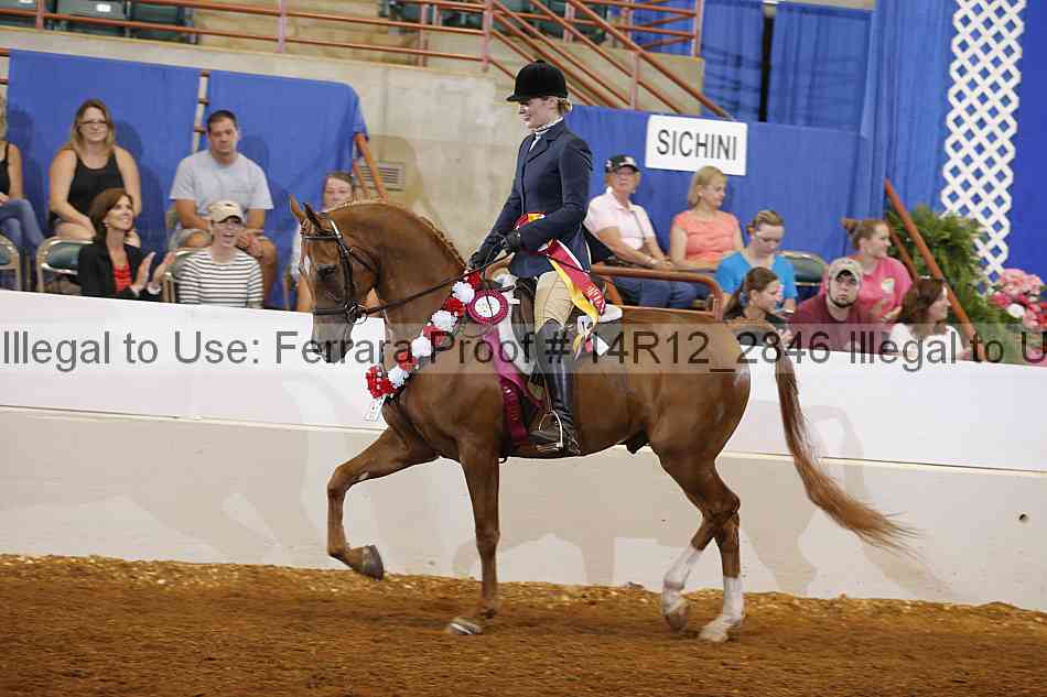 Proof Number 14r12_2846