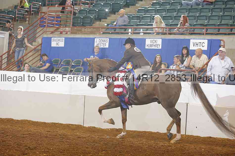 Proof Number 14r12_2853