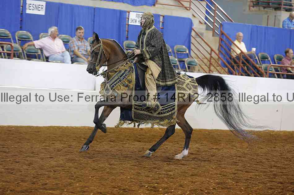 Proof Number 14r12_2858