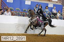 14r12_2891 thumbnail