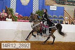 14r12_2892 thumbnail
