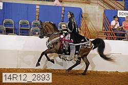 14r12_2893 thumbnail