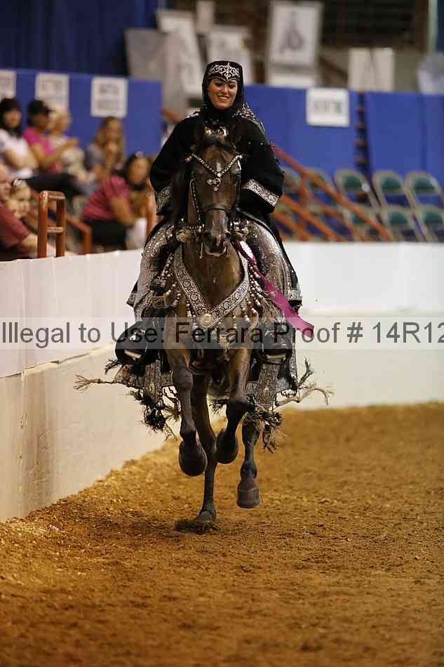 Proof Number 14r12_2895