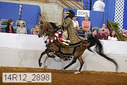14r12_2898 thumbnail