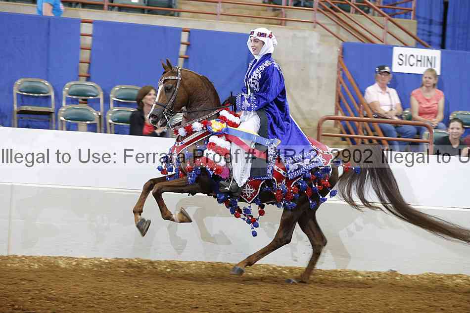 Proof Number 14r12_2902