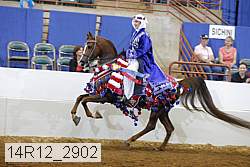 14r12_2902 thumbnail
