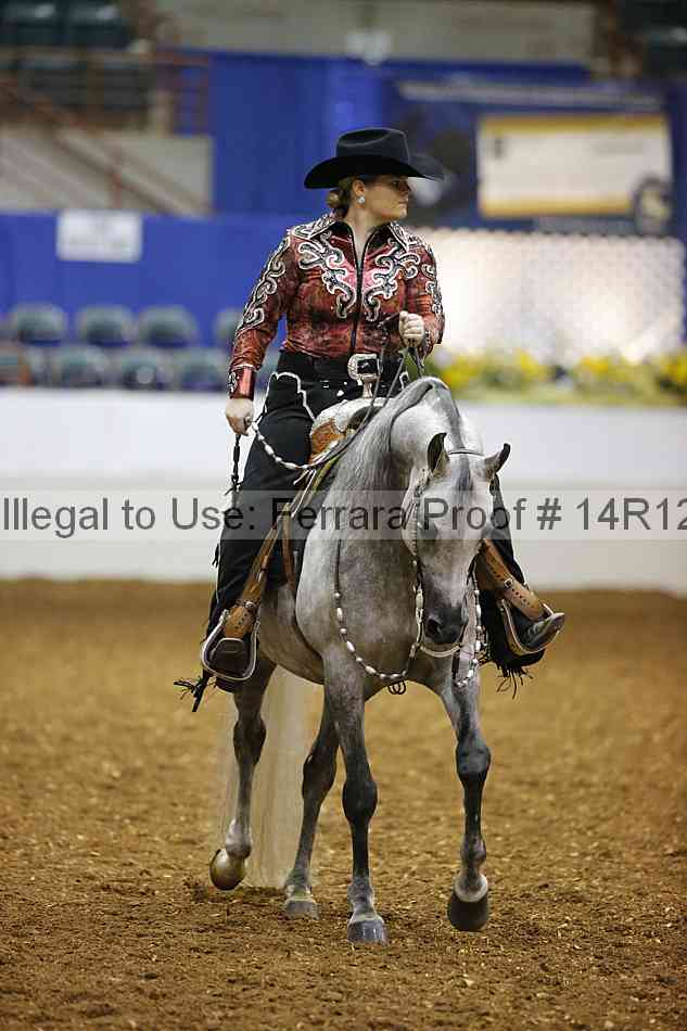 Proof Number 14r12_2931
