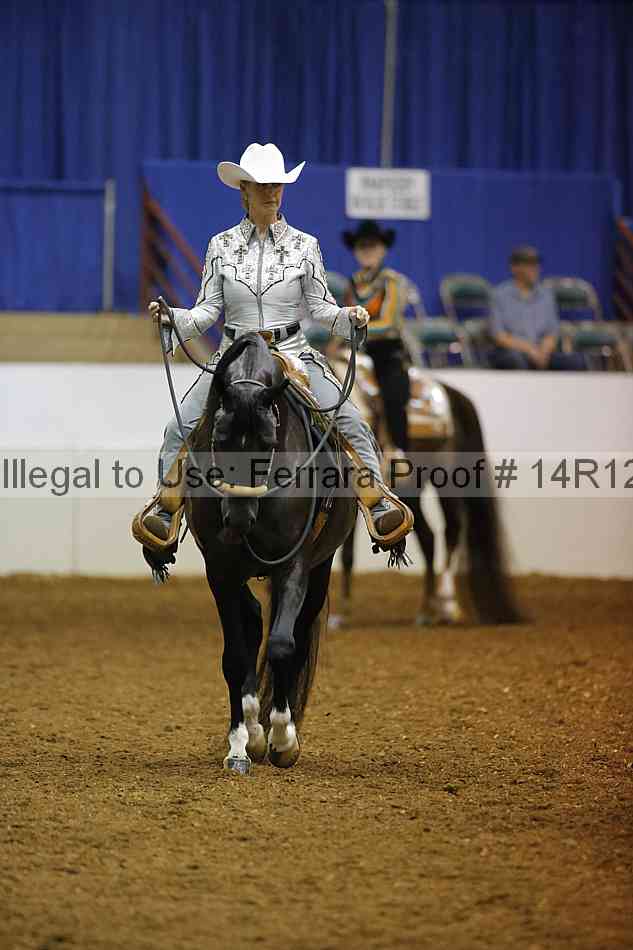 Proof Number 14r12_2947