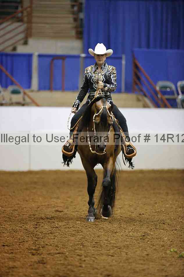 Proof Number 14r12_2954