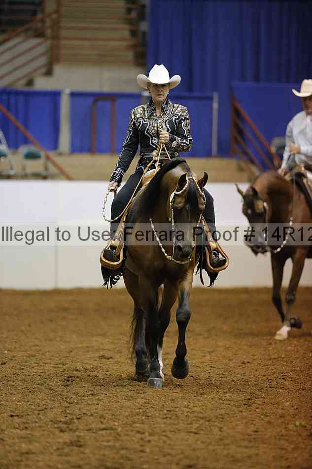 Proof Number 14r12_2955