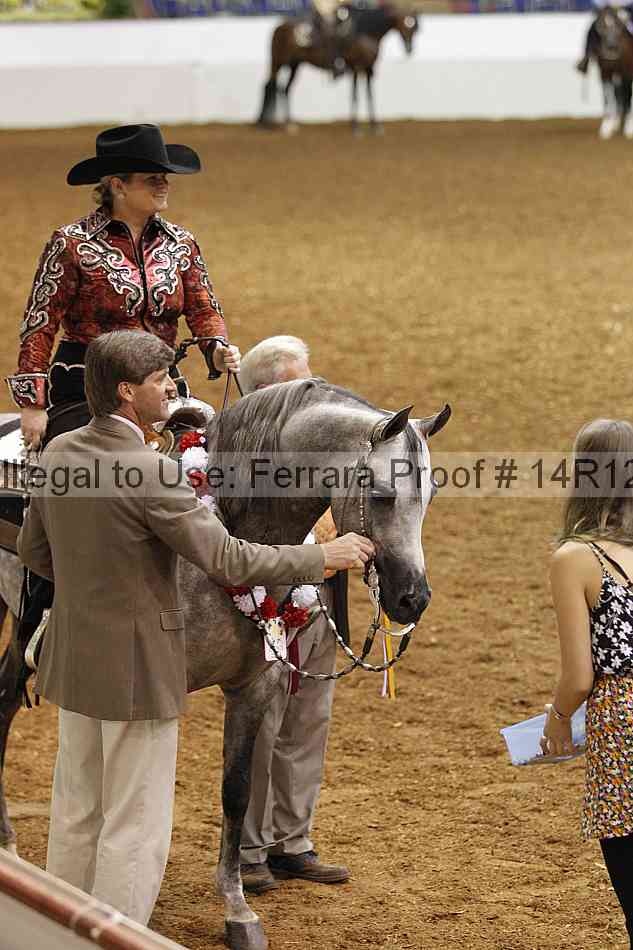 Proof Number 14r12_2977