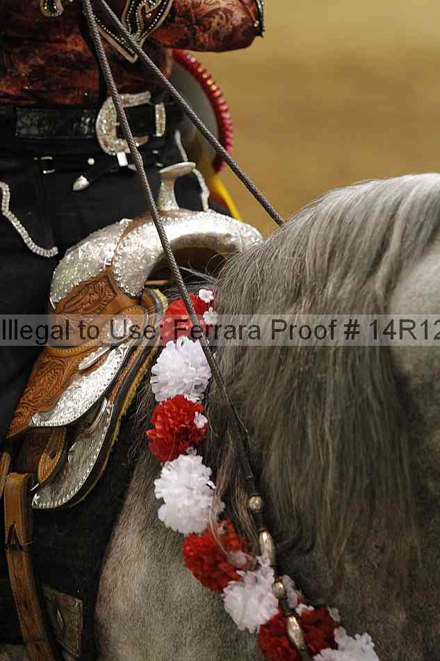 Proof Number 14r12_2981