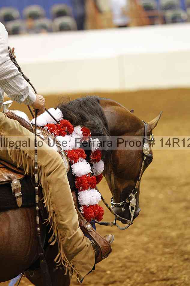 Proof Number 14r12_2992