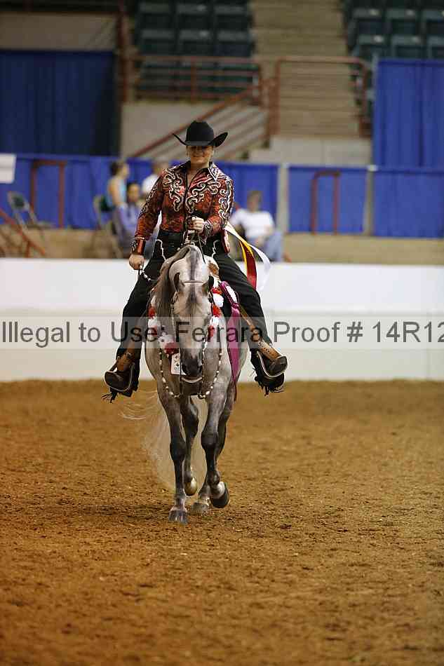 Proof Number 14r12_3007