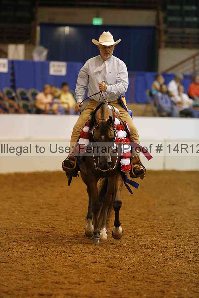 Proof Number 14r12_3013