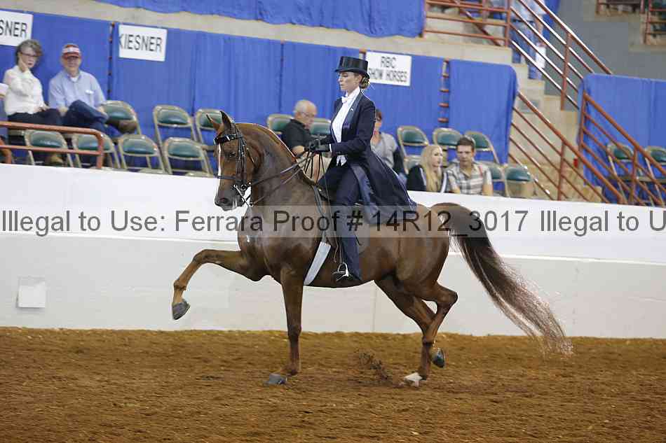 Proof Number 14r12_3017