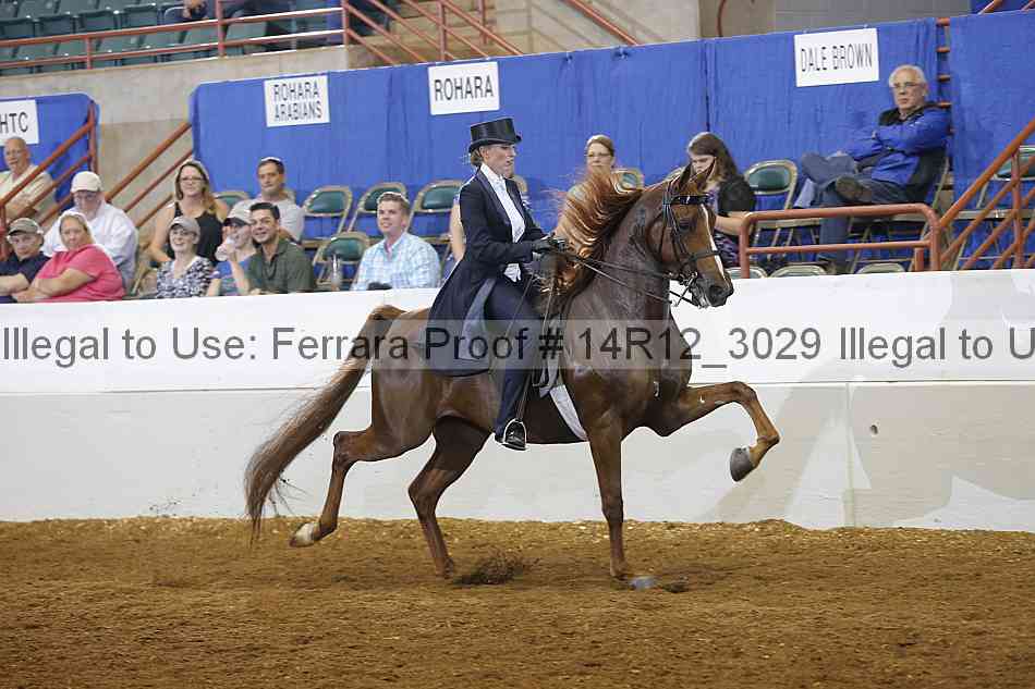 Proof Number 14r12_3029