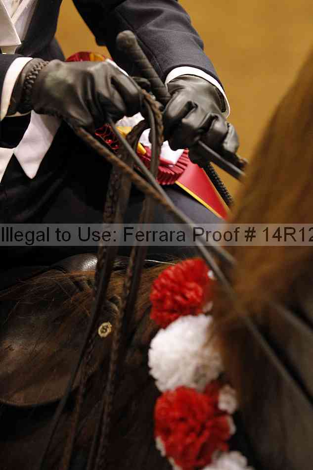 Proof Number 14r12_3039