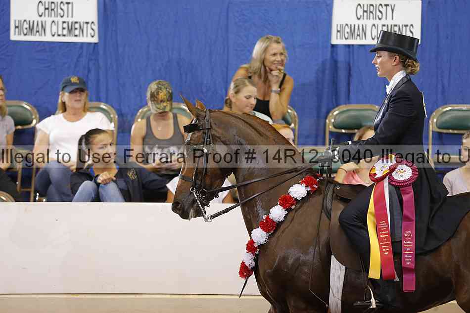 Proof Number 14r12_3040