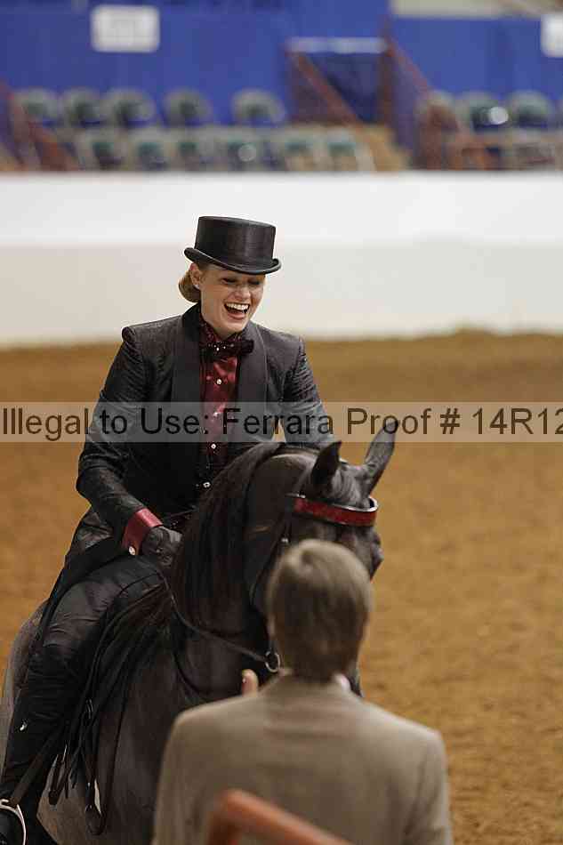Proof Number 14r12_3043