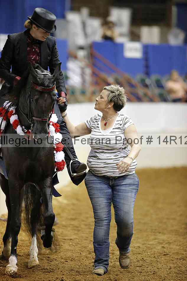 Proof Number 14r12_3048