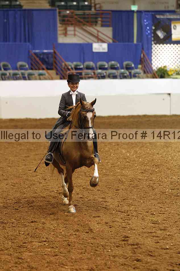Proof Number 14r12_3049